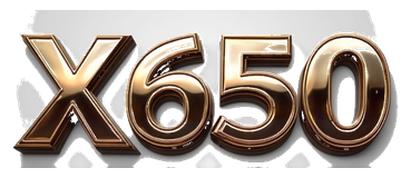 x650 logo
